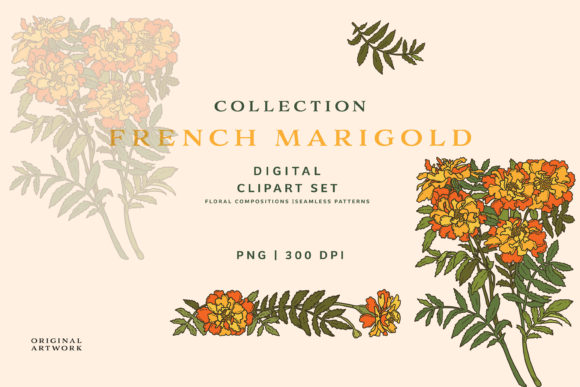 Créativité à Fleurs: Découvrez le Set de Cliparts de Tagète Française