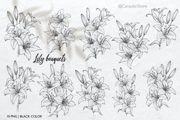 Discover the Elegance of Lilies Line Art and Lily Bouquets PNG