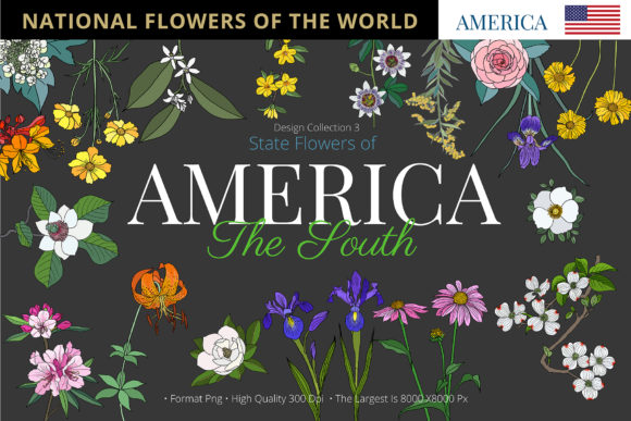 Exploring State Flowers of the American South