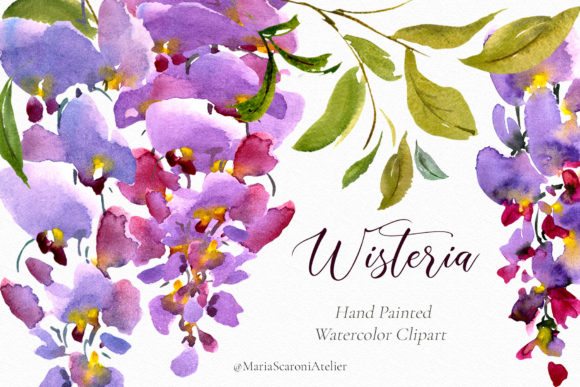 Exploring the Versatility of Watercolor Flowers Wisteria Clipart