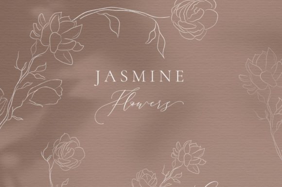 Line Drawing Jasmine Flower Illustration: A Versatile Tool for Creative Projects
