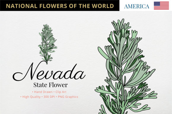 Nevada State Flower: Sagebrush's Unique Charm