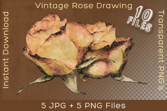 Orange Roses Vintage Flower Art Drawing: A Versatile and Charming Addition to Your Creative Projects