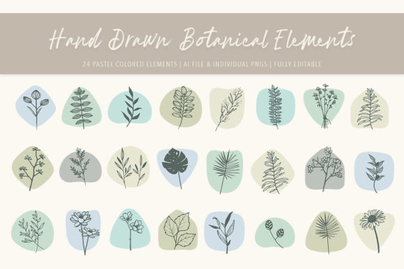 The Art and Application of Hand-Drawn Botanical Graphics