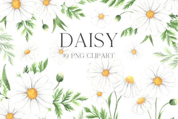 Watercolor Daisy Flower Clipart: A Versatile Tool for Creative Projects