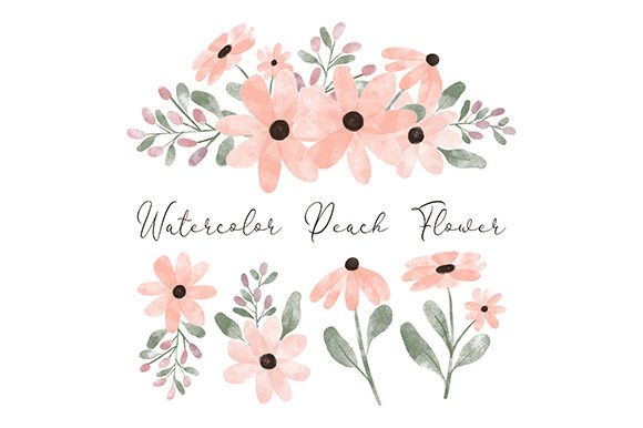 Watercolor Peach Petal Flower Element: A Versatile and Charming Design Choice