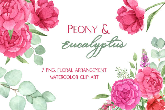 Watercolor Peonies and Eucalyptus Art