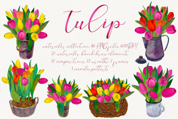 Welcome to the World of Spring Tulips